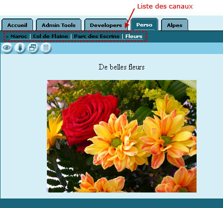 Figure 4 : Le mode de navigation alternatif
