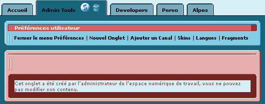 Figure 7 : Onglet cr&eacute;&eacute; par un administrateur de l'environnement 